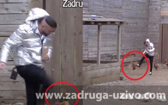 Za svaku osudu! Ša šutirao životinje u dvorištu! (VIDEO)