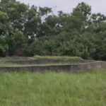 Niće kuća Dejana Dragojevića na spornom placu njegove majke! Niće kuća Dejana Dragojevića na spornom placu njegove majke!