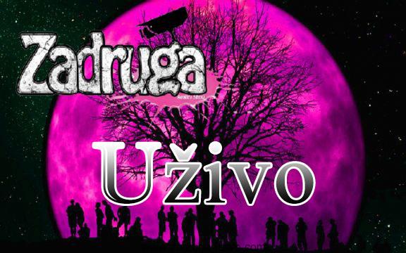 Zadruga Uživo 24 Sata - TV Pink - Zadruga Uživo - TV Pink Rijaliti. 