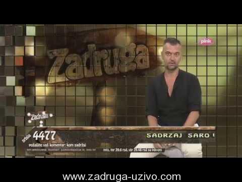 Takmičari Archives - Zadruga Uživo - TV Pink Rijaliti Uzivo | Zadruga ...