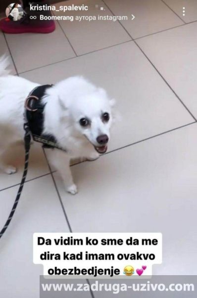 Kristina Spalević objavila sliku psa Kristijanovog sina