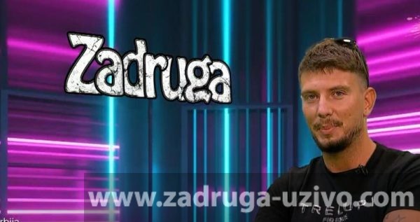 Zadruga 5, Svetislav Stevanović Limeni