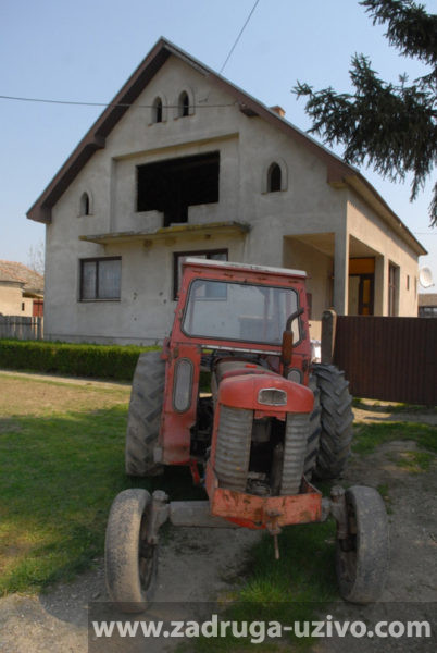 Miki Đuričić - Kupinovo