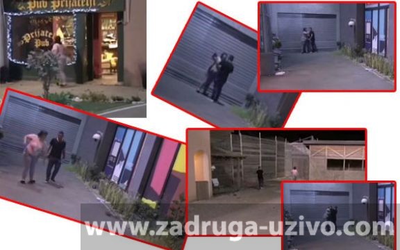 Miljana Kulić napravila žestok haos na imanju! (VIDEO)