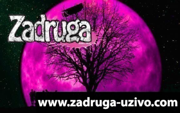 Zadruga Uživo Elita